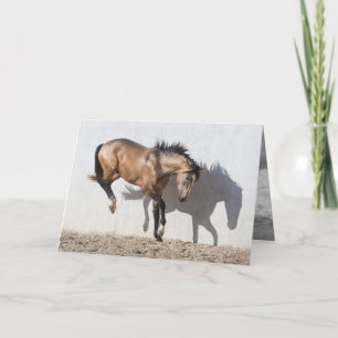 Carte de voeux Cheval - Toucher vers le bas