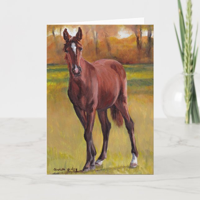 Carte de voeux Cheval "Young One" (Devant)