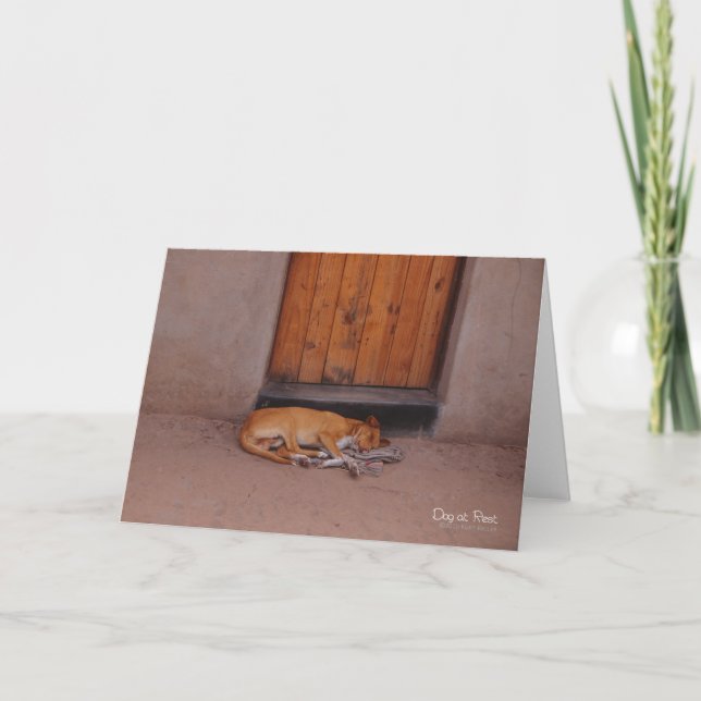 Carte de voeux Chien au repos (Devant)