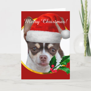 Carte de voeux Chihuahua de Noël