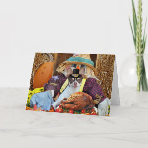 Carte de voeux Chihuahua pour chien Thanksgiving