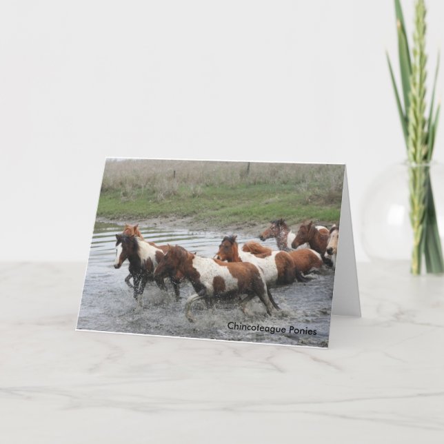 Carte de voeux Chincoteague Ponies (Devant)