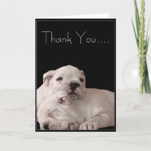 Carte de vœux chiots bouledogue Merci