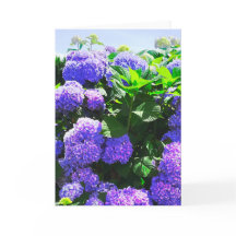 Carte de voeux classique violet réaliste Hydrangea