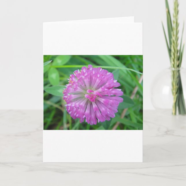 Carte de voeux cloverblossom rose (Devant)