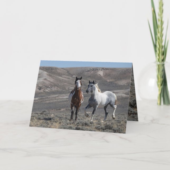 Carte de vœux Cochise et Sky Dancer (Devant)