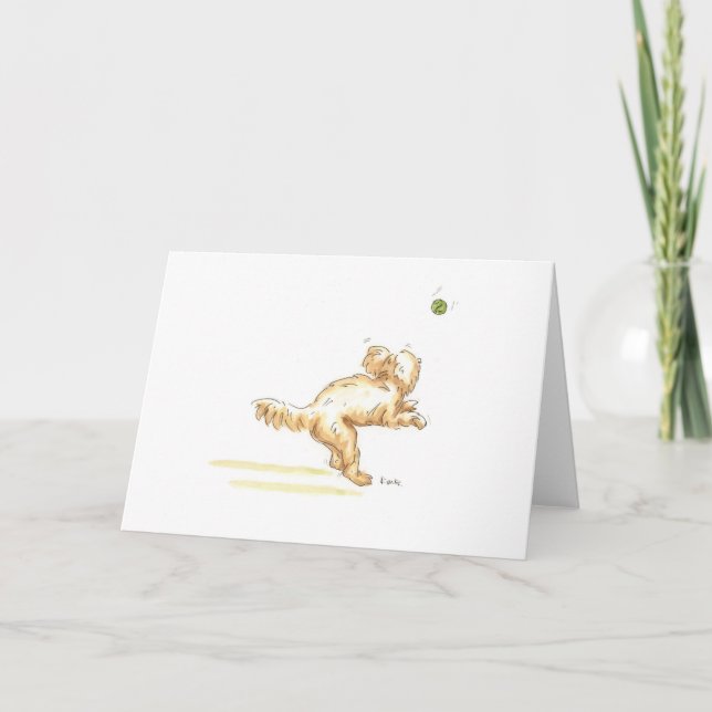 Carte de voeux 'Cockapoo' pour toute occasion. (Devant)