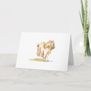 Carte de voeux 'Cockapoo' pour toute occasion.