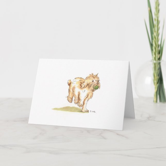 Carte de voeux 'Cockapoo' pour toute occasion. (Devant)