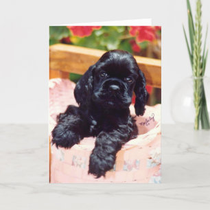 Carte de voeux Cocker Spaniel chiot