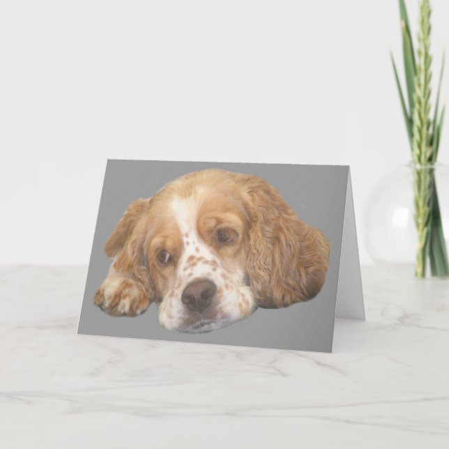 Carte de voeux Cocker Spaniel Freckles (Devant)