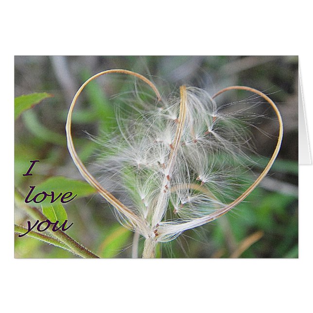 Carte de voeux Coeur plante : je vous aime (Devant horizontal)