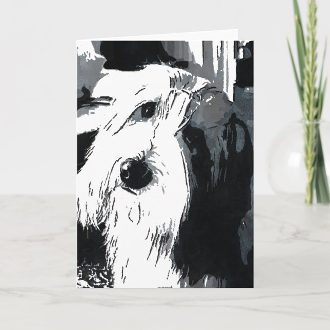 Carte de voeux Collie barrée (Devant)