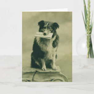 Carte de voeux Collie Bordure vintage