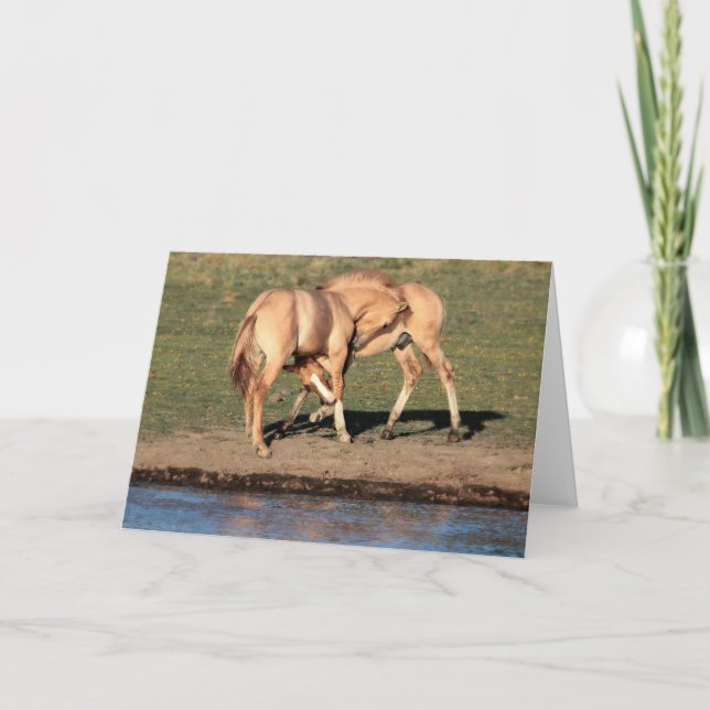 Carte de voeux colt Play (Devant)