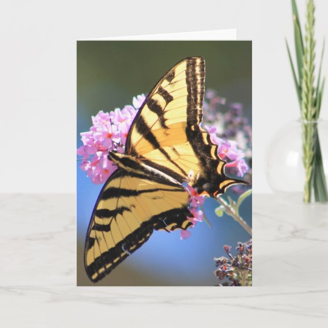 Carte de voeux comportant le papillon jaune (Devant)