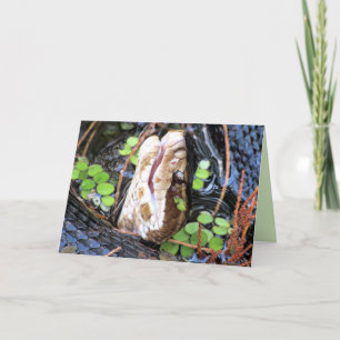 Carte de voeux Cottonmouth / Water Moccassin