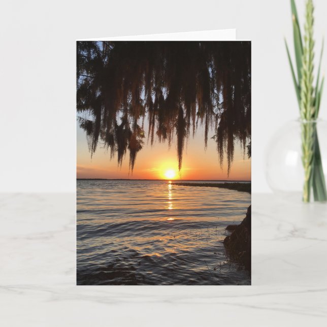 carte de voeux coucher de soleil et mousse espagno (Devant)