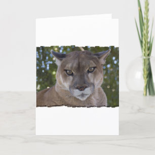 Carte de voeux Cougar Pounce