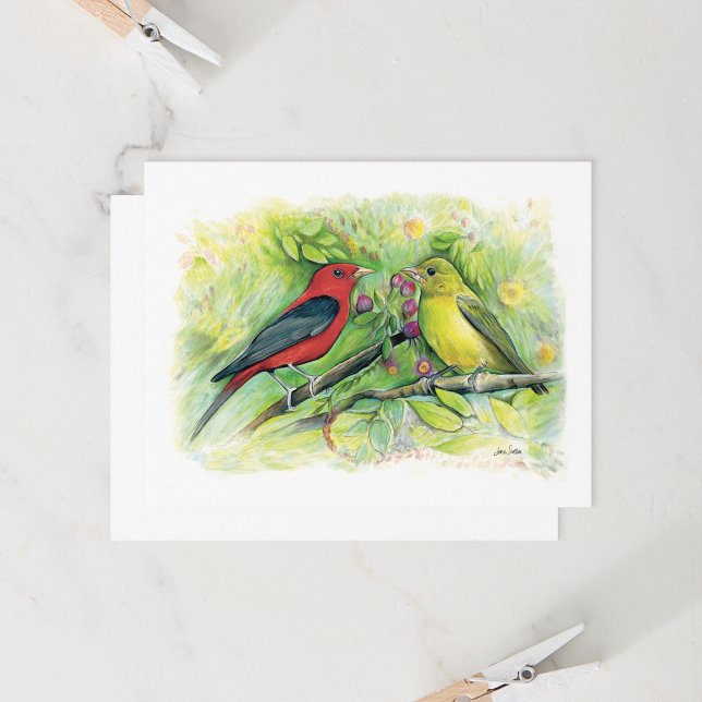 Carte de voeux couple de Tangara écarlate magnifiq (Beautiful Scarlet Tanager Couple Note Card from Jenn's Emporium.)
