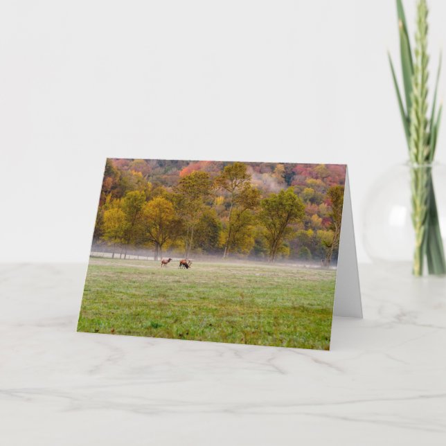Carte de voeux Couple Elk (Devant)