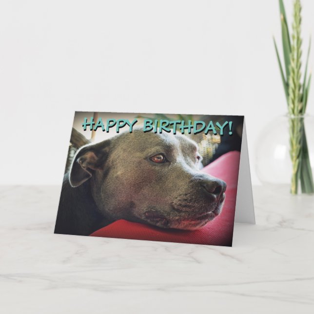 Carte de voeux customisée staffy mignonne (Devant)