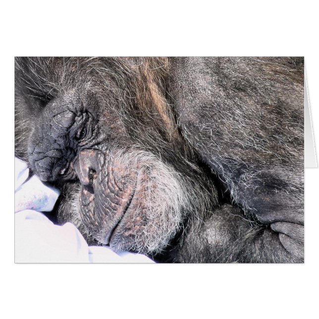 Carte de voeux CUT CHIMPANZEE (Devant horizontal)