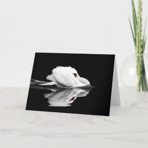 Carte de voeux cygne