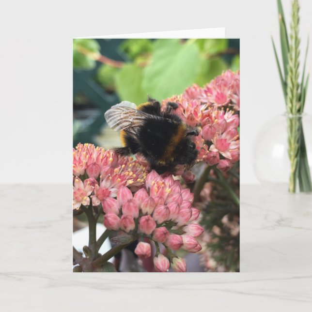 Carte de voeux d'abeille (Devant)