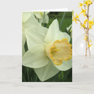 Carte de voeux - Daffodile à coeur doré