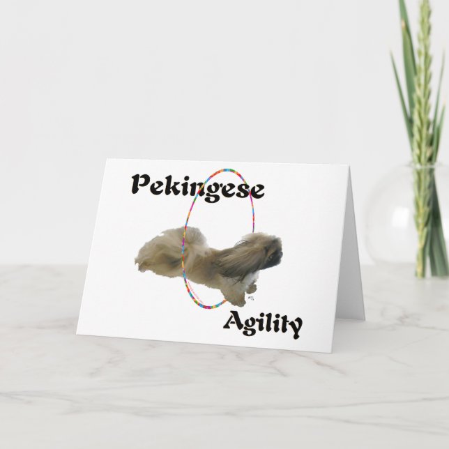 Carte de vœux d'agilité Pékinois (Devant)