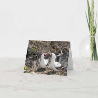 Carte de vœux d'amitié Nazca Bird