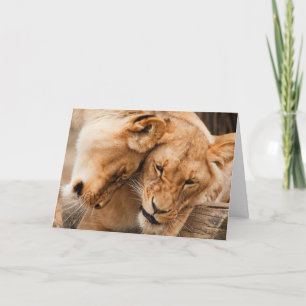 carte de voeux d'amour lion