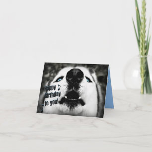 Carte de voeux d'anniversaire amusante