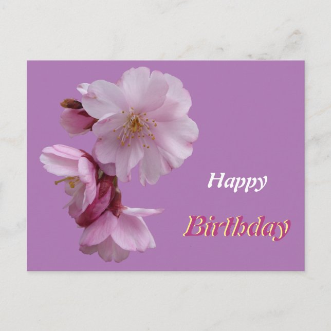 Carte de vœux d'anniversaire aux fleurs de Prunus  (Devant)
