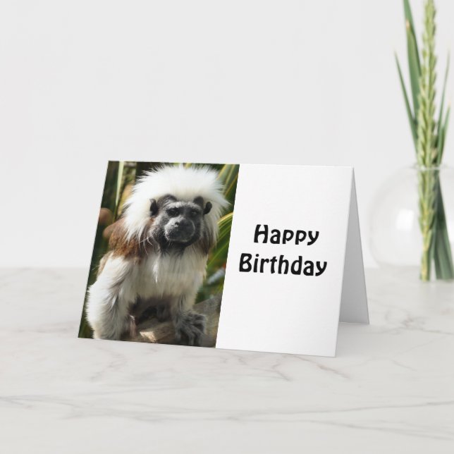 Carte de voeux d'anniversaire, avec mignon singe (Devant)