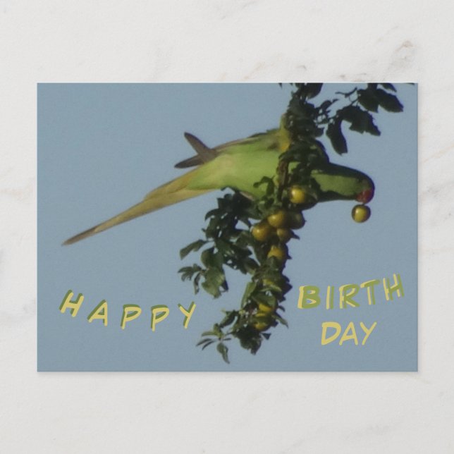 Carte de vœux d'anniversaire avec une Perruche à c (Devant)