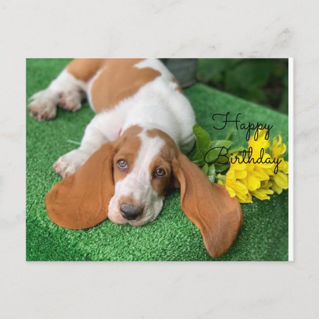 Carte de vœux d'anniversaire basset hound (Devant)