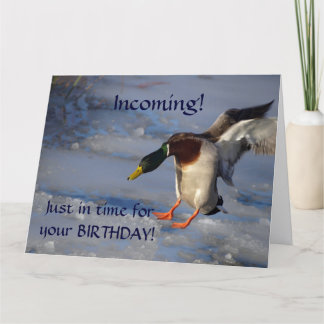 Carte de voeux d'anniversaire de canard de Mallard
