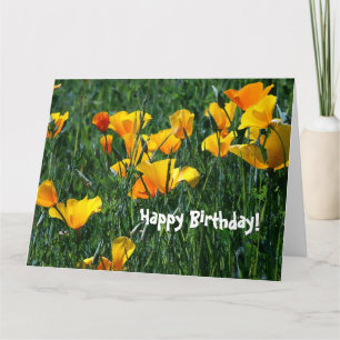 Carte de voeux d'anniversaire de fleur sauvage de