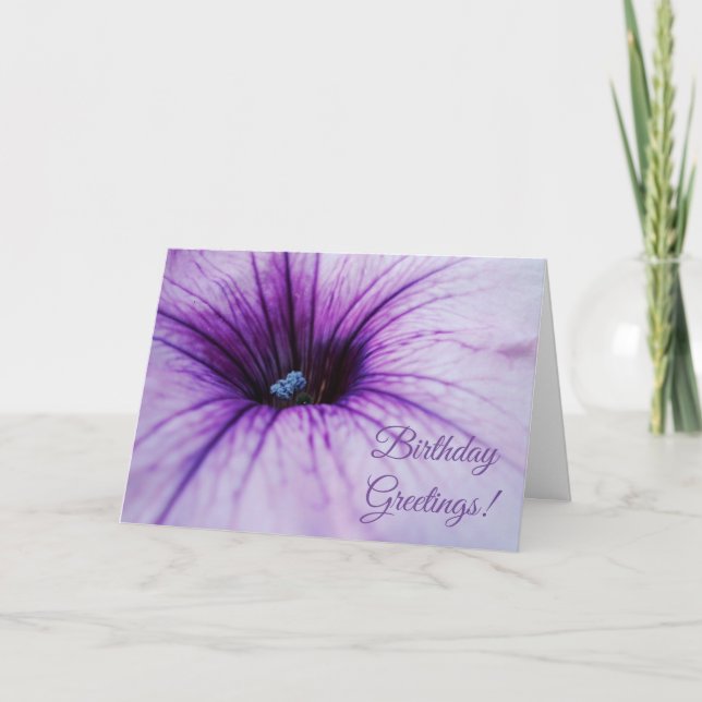 Carte de voeux d'anniversaire de la Pétunia violet (Devant)