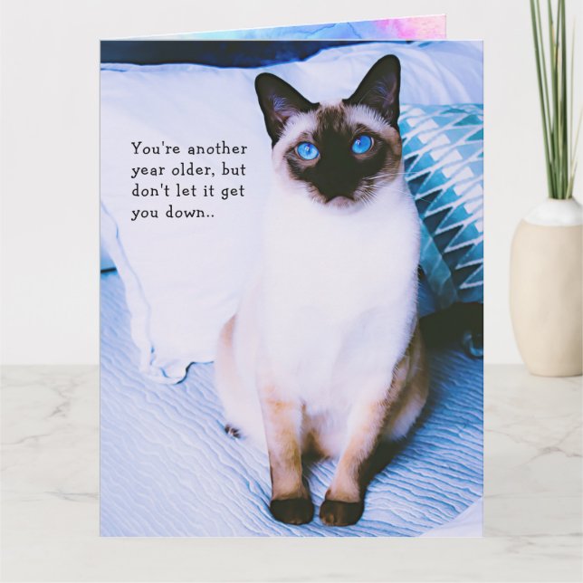 Carte de voeux d'anniversaire de Siamese (Devant)