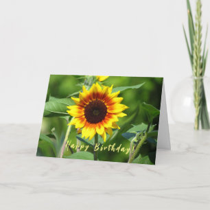 Carte de voeux d'anniversaire de tournesol