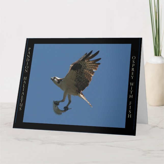 Carte de voeux d'anniversaire d'oiseau et de (Devant)