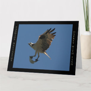 Carte de voeux d'anniversaire d'oiseau et de