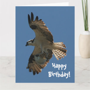 Carte de voeux d'anniversaire d'oiseau et de