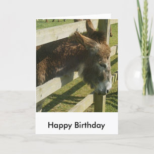 Carte de voeux d'anniversaire Donkey
