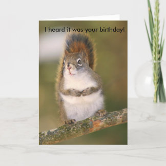 Carte de voeux d'anniversaire - écureuil