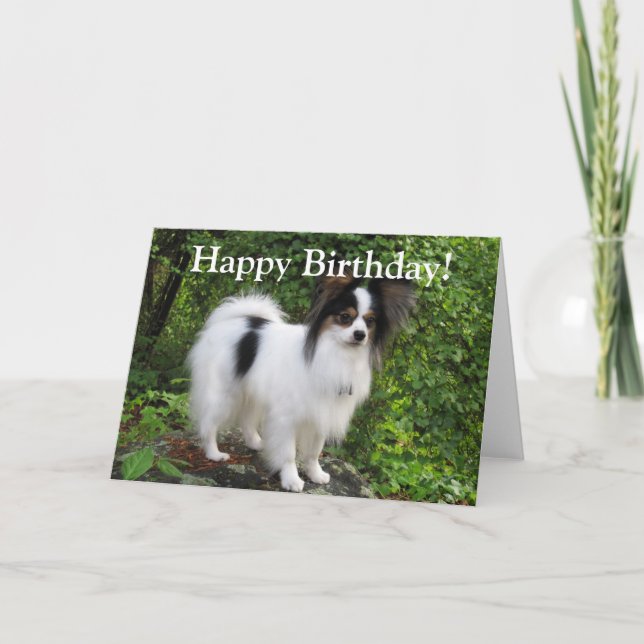 Carte de voeux d'anniversaire ou de Papillon (Devant)
