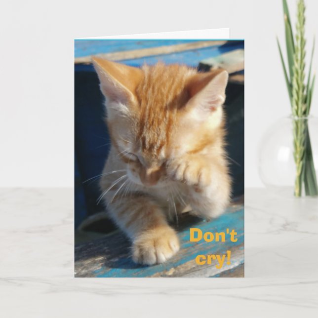Carte de voeux d'anniversaire pour chat drôle mign (Devant)